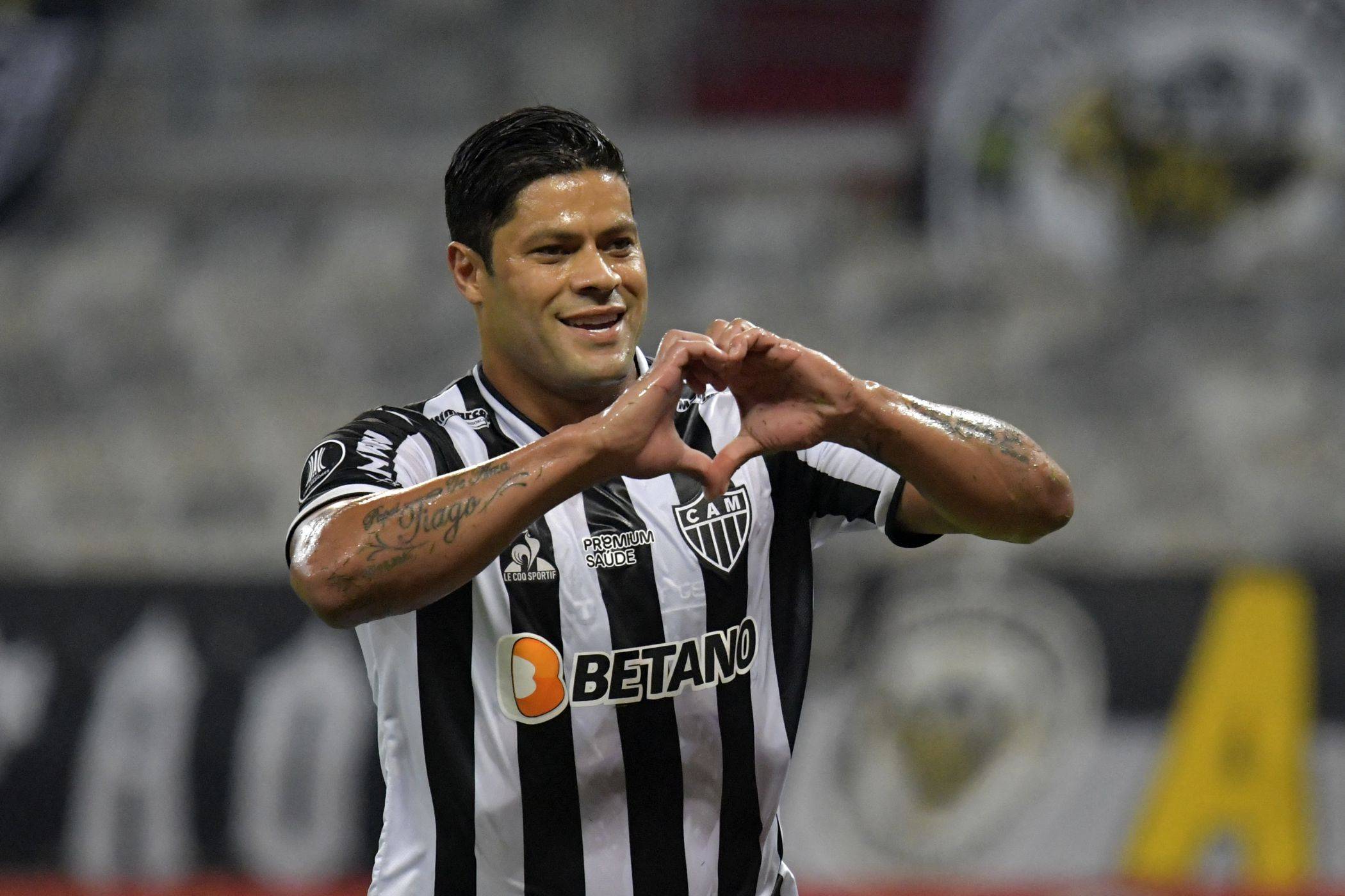 BBIN体育-鲁能主场告捷！胡尔克建功，西塞快速反击击垮对手的简单介绍